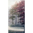 thumbnail image 3 of Marcon, Michael 9x14 Black Modern Framed Museum Art Print Titled - Mist October Trees, 3 of 5