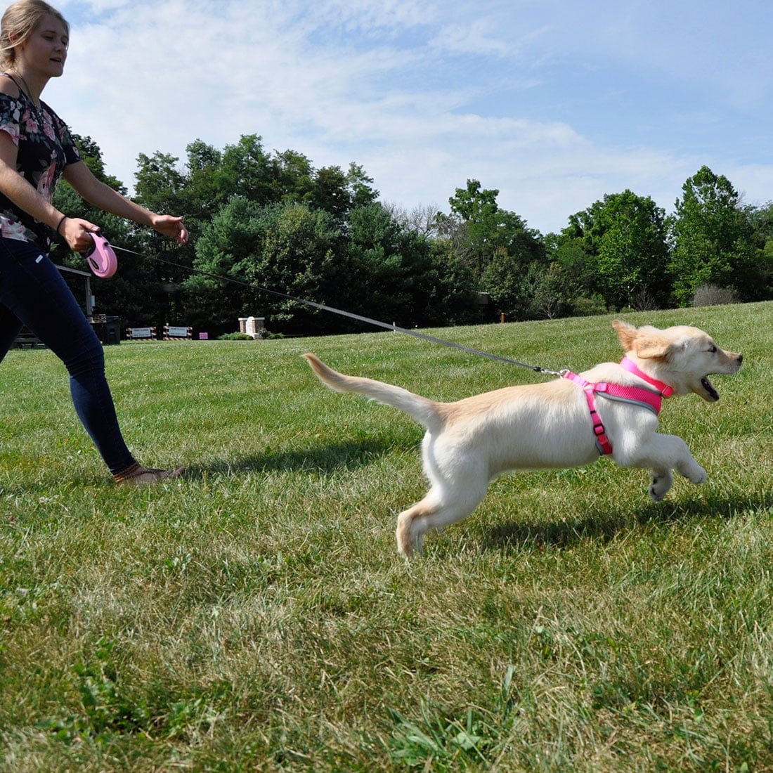 Power walker top retractable dog leash