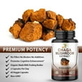 thumbnail image 6 of Chaga Mushroom Extract (Inonotus Obliquus) With 30% Polysaccharides 60 Veg Caps, 6 of 10