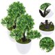 thumbnail image 1 of FOMIYES 2Ud Planta Simulada En Maceta Para Interior Y Escritorio, 1 of 6