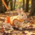 thumbnail image 7 of Tuvgenk Small Pet Harness and Leash Set Vest Style Breathable Mesh Rabbit Chest Strap for Guinea Pig Outdoor Walk S Orange, 7 of 7