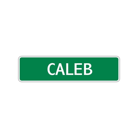 Caleb Boys Children Name Letter Printed Label Novelty Kids Indoor Outdoor Wall Plaque Decoration Aluminum Sign 4"x13.5"