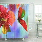 SUTTOM Butterflies Spring Wake Modern Nature Flowers Nan Engen Digital Shower Curtain 66x72 inch