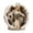 Clear, variant on XMMSWDLA Pet Memorial Gifts - Dog or Cat Memorial Christmas Angel Photo Ornaments 2024 - Pet Loss Gifts for Dog or Cat - Pet Remembrance Decorative Ornaments for Christmas Tree
