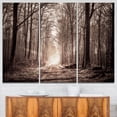thumbnail image 1 of Forest Trail in Sepia, 1 of 3