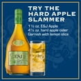 thumbnail image 6 of E&J Apple Flavored Brandy, 50mL Bottle, 30% ABV, 6 of 7