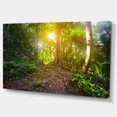 thumbnail image 2 of Archaeological Park Cebal Guatemala - Landscape Canvas Art Print, 2 of 4