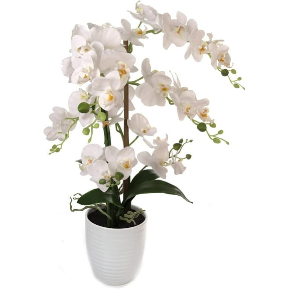 22"x18" White Phalaenopsis Orchid Stem with 5-Inch Ribbed Bloom – Artificial Flower for Home, Office & Event Décor