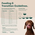 thumbnail image 2 of Jinx Salmon, Brown Rice, & Sweet Potato Dry Dog Food, 30lb. Bag, 2 of 11