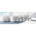 thumbnail image 3 of Deiter, Lori 14x7 Black Modern Framed Museum Art Print Titled - Winter Willow, 3 of 5