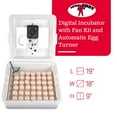 thumbnail image 5 of Little Giant 11300 Deluxe Digital Incubator w/ Fan Automatic Egg Turner (2 Pack), 5 of 9