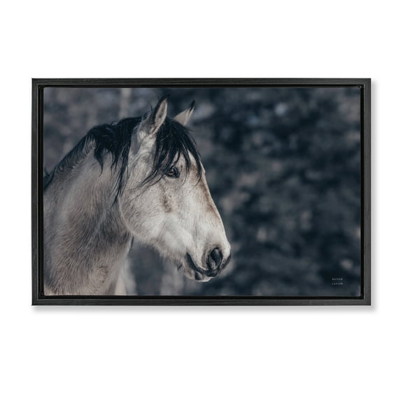 Stupell Industries Intense Gaze Stallion Animals & Insects Photography Black Floater Framed Canvas Art Print Wall Art, 25 x 17