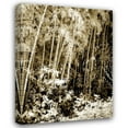 thumbnail image 1 of Alan Hausenflock 25x32 Gallery Wrapped Canvas Wall Art Titled - Bamboo Grove I, 1 of 4