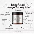 thumbnail image 3 of Hongo Turkey Tail o cola de pavo de 100 gr, 3 of 7
