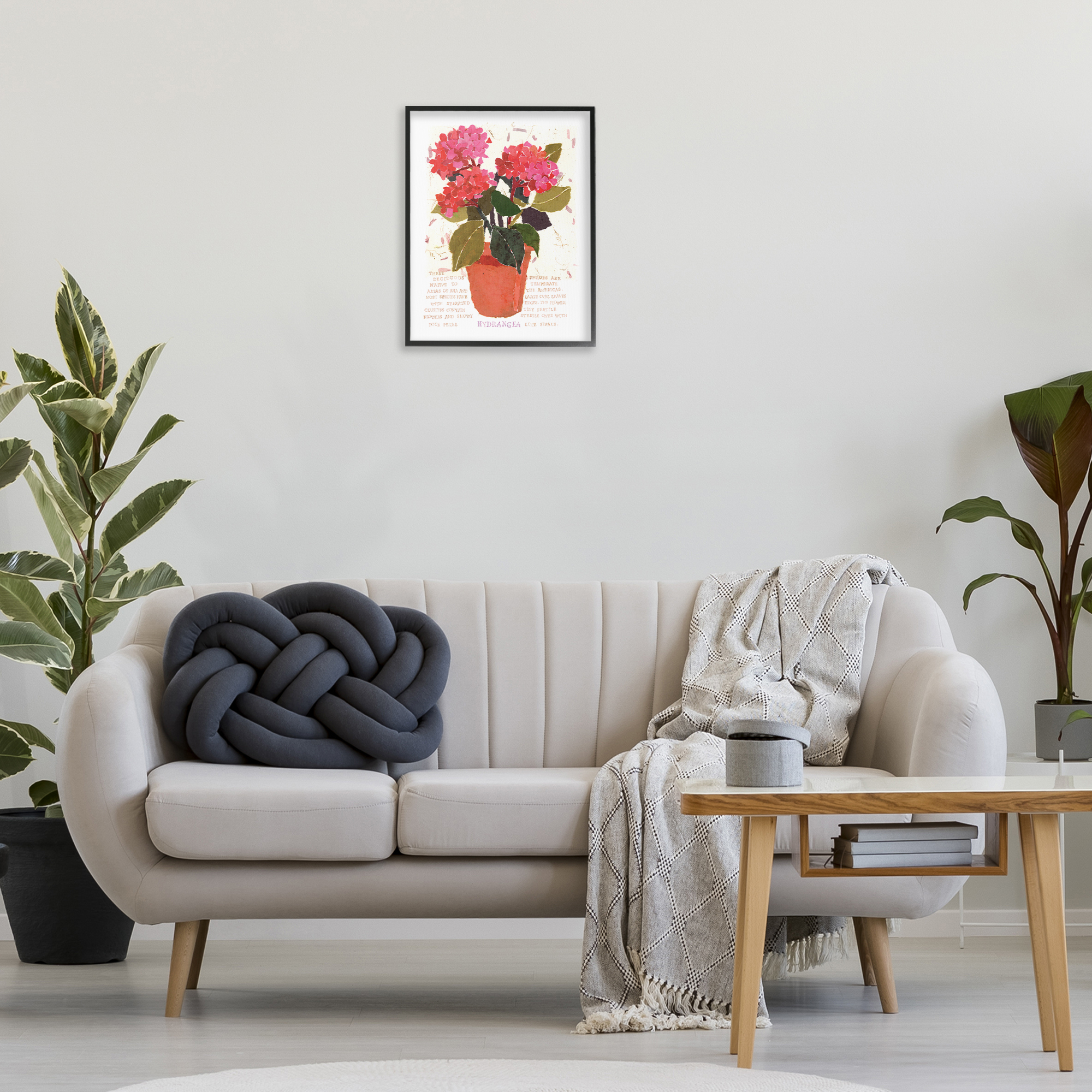 Stupell Industries Bold Red Hydrangea Botanical & Floral Painting Black Framed Art Print Wall Art, 16 x 20