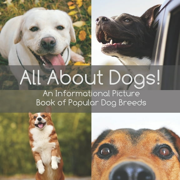 All About Dogs!: An informational picture book of popular dog breeds, (Paperback)
