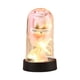 thumbnail image 2 of Xihbxyly Rosa Preservada, Caja de Luz Led con Flor Eterna, Sorpresa Romántica para Ella, Regalo de Cumpleaños y Aniversario, Empaque Elegante, Regalo de San Valentín, Tamaño 15,5 X 8,5 X 8 Cm., 2 of 6