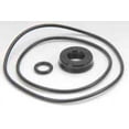 thumbnail image 2 of Magnafuel/Magnaflow Fuel Systems QuickStar 275 Seal Kit, 2 of 5