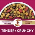 thumbnail image 3 of Purina Dog Chow High Protein Real Lamb & Turkey Flavor Dry Dog Food, 16.5 lb Bag, 3 of 11