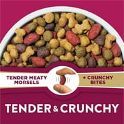 Purina Dog Chow Tender and Crunchy with Real Lamb and Turkey Flavor Adult Dry Dog Food, 30 lb Bag