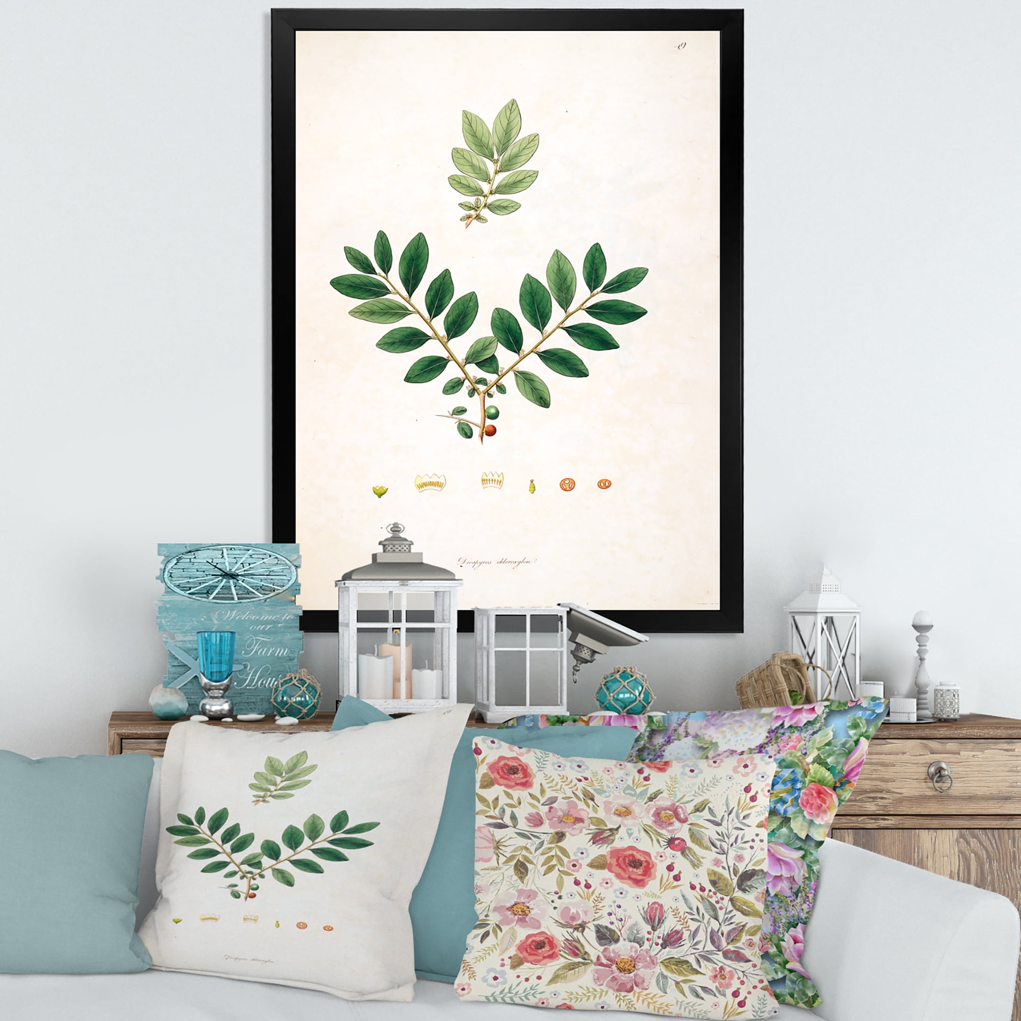 Designart 'Ancient Plant Life XIV' Farmhouse Framed Art Print