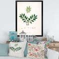 thumbnail image 3 of Designart 'Ancient Plant Life XIV' Farmhouse Framed Art Print, 3 of 4