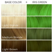ARCTIC FOX Vegan and Cruelty-Free Semi-Permanent Hair Color Dye (4 Fl Oz, IRIS GREEN)