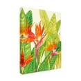 thumbnail image 2 of Trademark Fine Art 'Watercolor Tropical Flowers IV' Canvas Art by Tim OToole, 2 of 4