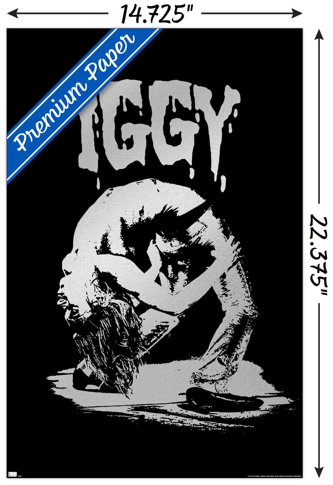 Iggy Pop - Pose Wall Poster, 14.725" x 22.375"