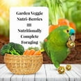 thumbnail image 2 of Lafeber Nutri-Berries Garden Veggie Parrot Bird Food, 10 Oz, 2 of 10