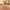 Pink, variant on Rkxzt round Area Rugs Bedroom Rug Soft Plush Fluffy round Rug Modern Style Area Rug Living Room Coffee Table Sofa Rugs