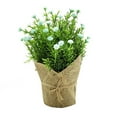 thumbnail image 2 of Simulated flower ball green plant bonsai plastic artificial flower indoor, 2 of 7