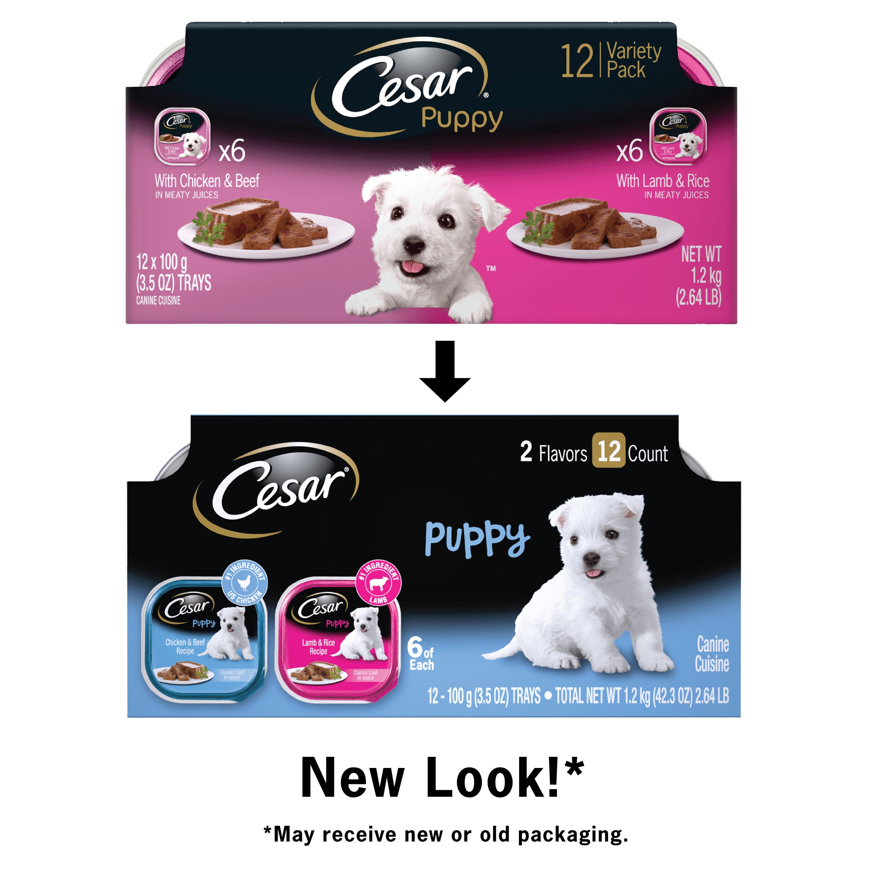 dollhouse miniature pets