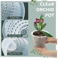 thumbnail image 2 of Fymlhomi 3 Pieces Clear Orchid Pot with Holes, 4 Inch Plastic Orchid Pots Breathable Slotted Flower Planter for Garden, Home, Indoor, Outdoor, 2 of 7