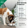 thumbnail image 3 of Iconic Pet Stainless Steel Non-Skid Pet Bowl For Dog or Cat, 96 Oz, 12 Cup, 3 of 8