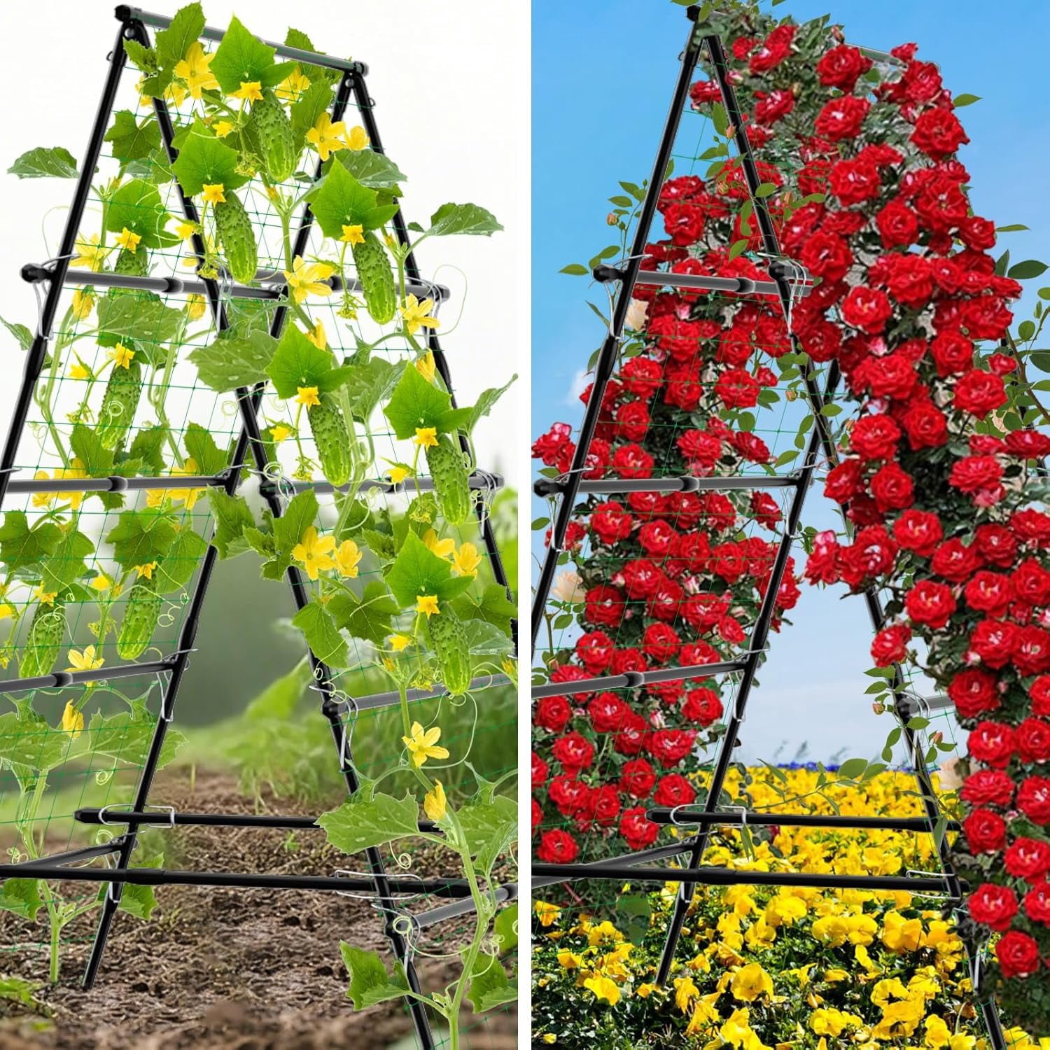 Sedeke 6ft Cucumber Trellis for Raised Bed, Garden Trellis for Climbing Plants Outdoor, A Frame Metal Trellis Support with Net for Vegetables Vines