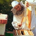 thumbnail image 6 of Stoney Acres Beekeeping Beehive Frame, Waxed Plastic Foundation, Deep Assembled, Honey Bee Hive, Amish Made, Set of 8, 6 of 7