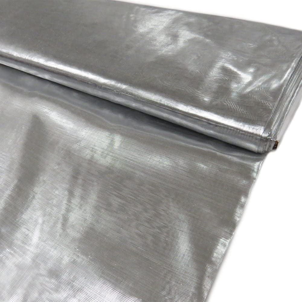 Valentina Textile inc Nylon Metallic Tissue Lame Fabric - 60 Inches Wide, Over 100 Yards in Stock -Multiple Colors Available (10 Yard, Silver)