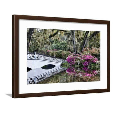 USA, North Carolina., white bridge with Azaleas and moss-covered tree Framed Print Wall Art By Hollice