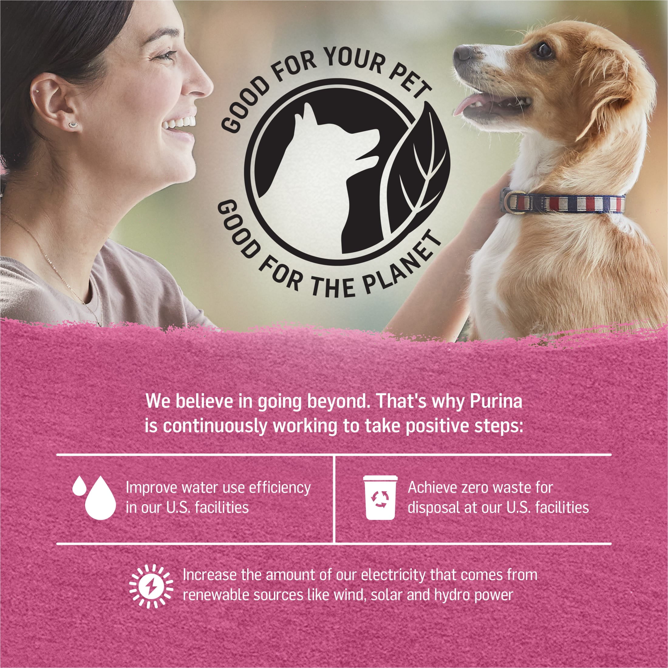 Purina Beyond Immune Health Wet Dog Food Natural Soft Beef & Spinach, 12.5 oz Can