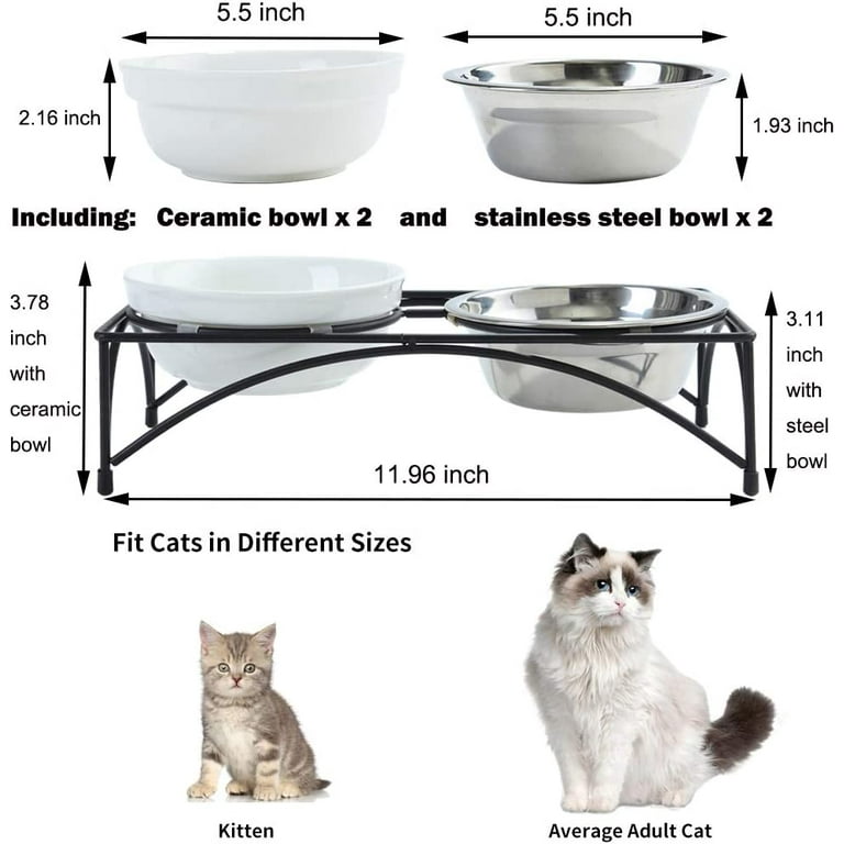FOREYY Elevated Cat Bowls with Mat,Raised Cat Feeding Food Water Bowl with  2 Ceramic Bowls, 2 Stainless Steel Bowls and Metal Stand,Porcelain Pet  Dishes for Cats and Small Dogs,16 Ounces(Green) - Yahoo