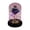 Purple, variant on dfutuy Glass Covered Gold Foil Rose Ornament Eternal Flower Creatives Holiday Gift Luminous LED Night Light