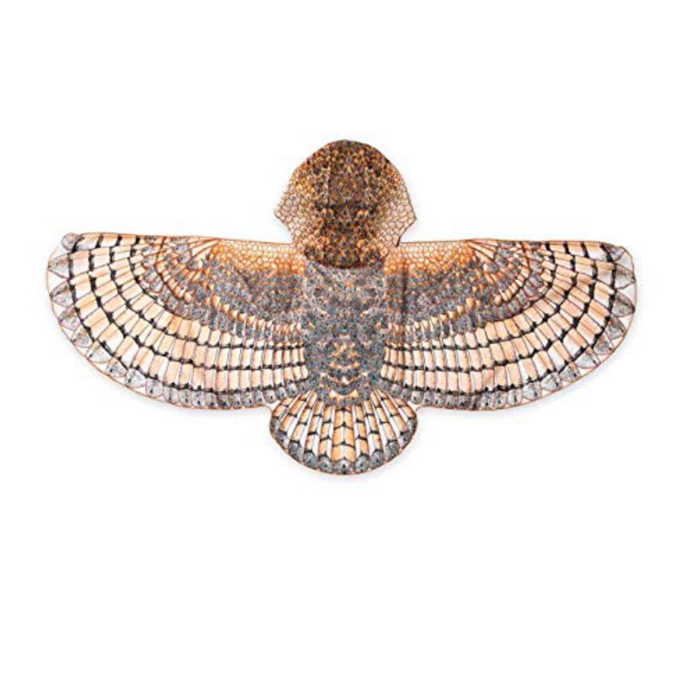 Hooded Owl Wings, Barn Owl