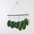 thumbnail image 1 of Colgante de pared con forma de tronco, simulación de plantación verde, hojas de eucalipto artificiales, hojas de eucalipto caídas, placa de bienvenida para puerta, joyería para colgar en la pared, 1 of 6