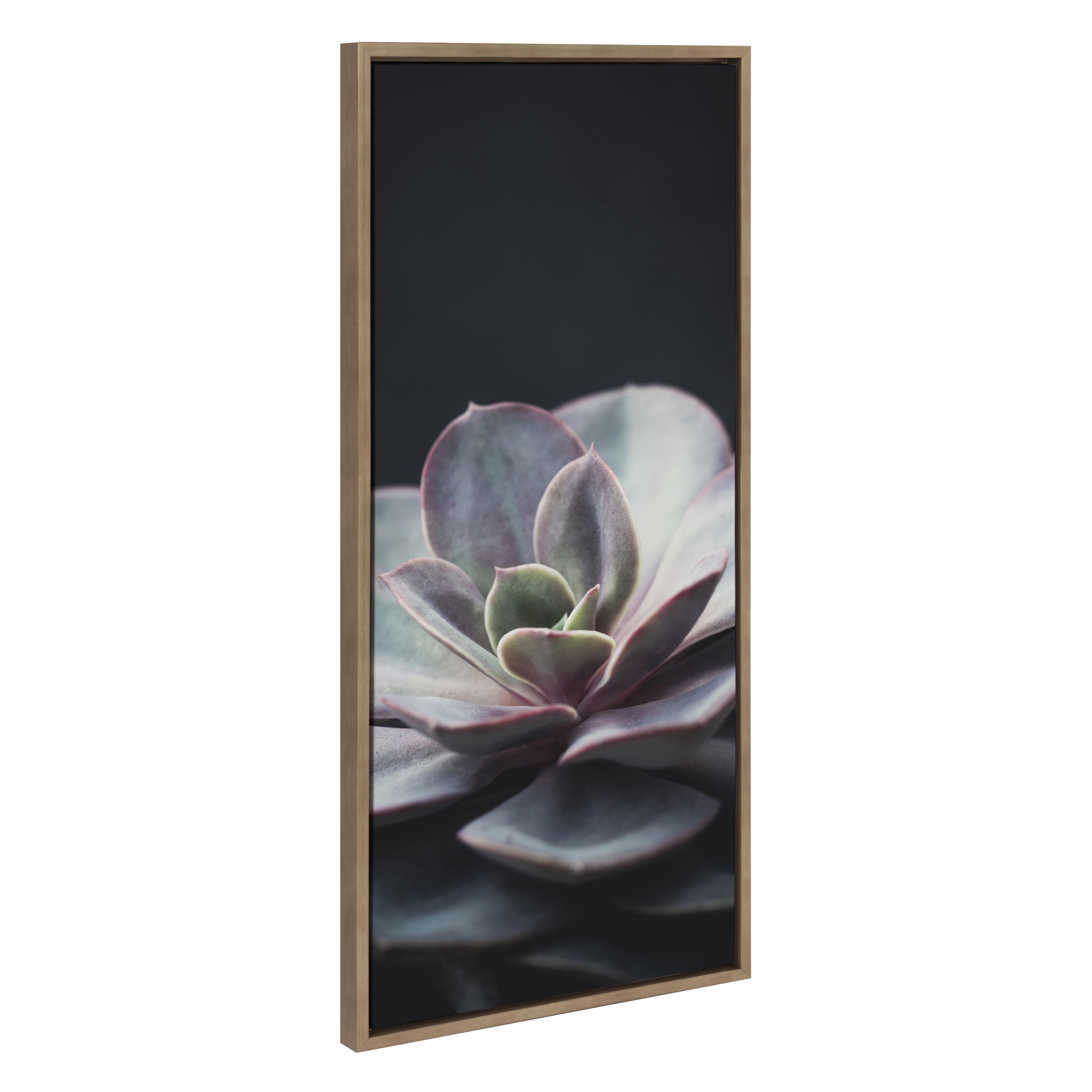 Kate and Laurel Sylvie Lavender Succulent Framed Canvas Wall Art by Emiko and Mark Franzen of F2Images 18x40 Gold Sophisticated Succulent Print for Wall