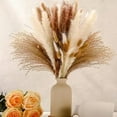 thumbnail image 6 of Luxcidy Dried Pampas Grass Decor 100 Stems, Boho Wedding Flowers with Bunny Tails, Natural Dried Floral Arrangement for Home Table, Village Farm & Party Decor, 6 of 7