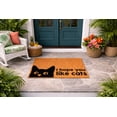 thumbnail image 5 of I Hope You Like Cats Doormat, Funny Cat Face Doormat, Welcome Door Mat, Cute Kitty Entryway Rug, Indoor Outdoor Front Porch Mat 5191 (24x36 inches) 5191, 5 of 5