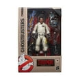 thumbnail image 2 of Ghostbusters Plasma Series Winston ZeddeMore Action Figure, 2 of 8