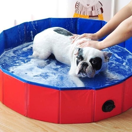 63'' x 12'' Foldable Dog Pool Bathtub Collapsible Hard Plastic Pet Swimming Pool