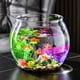 thumbnail image 5 of Terrario de escritorio transparente, cuencos redondos multiusos para peces dorados para sala de estar y oficina, 5 of 8